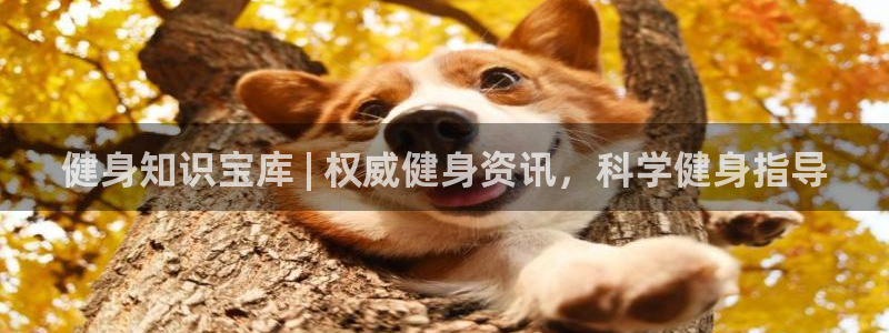 qy千亿球友会app