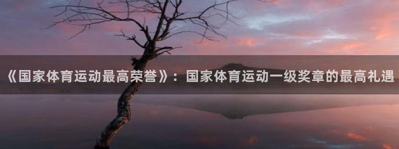 xc体育：《国家体育运动最高荣誉》：国家体育运动一级奖章的最高礼遇