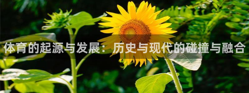 xc体育：体育的起源与发展：历史与现代的碰撞与融合