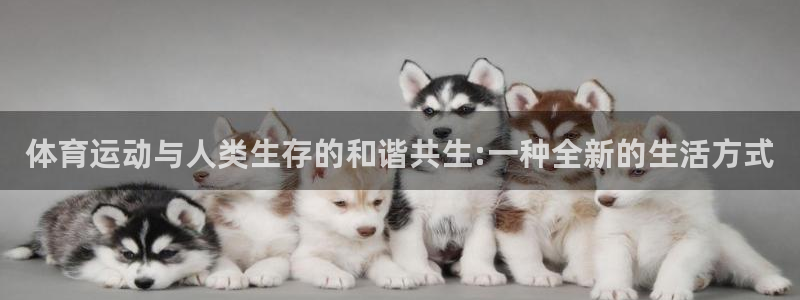 xc体育：体育运动与人类生存的和谐共生:一种全新的生活方式
