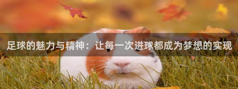 xc体育app官方网站：足球的魅力与精神：让每一次进球都成为梦想的实现
