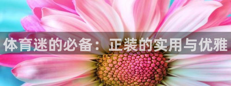 xc体育app官方网站：体育迷的必备：正装的实用与优雅