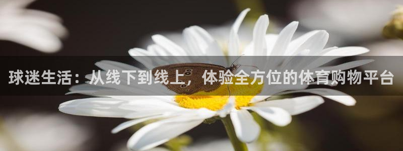 xc体育：球迷生活：从线下到线上，体验全方位的体育购物平台