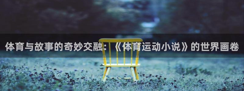 xc体育：体育与故事的奇妙交融：《体育运动小说》的世界画卷