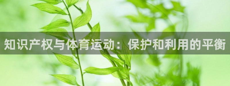 xc体育：知识产权与体育运动：保护和利用的平衡