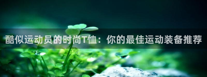xc体育app官方网站：酷似运动员的时尚T恤：你的最佳运动装备推荐