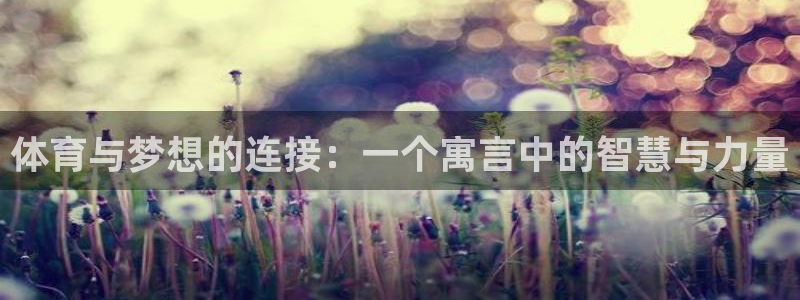 xc体育：体育与梦想的连接：一个寓言中的智慧与力量