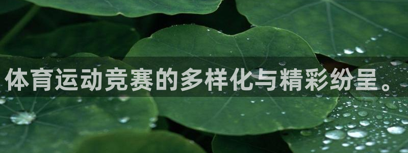 xc体育：体育运动竞赛的多样化与精彩纷呈。