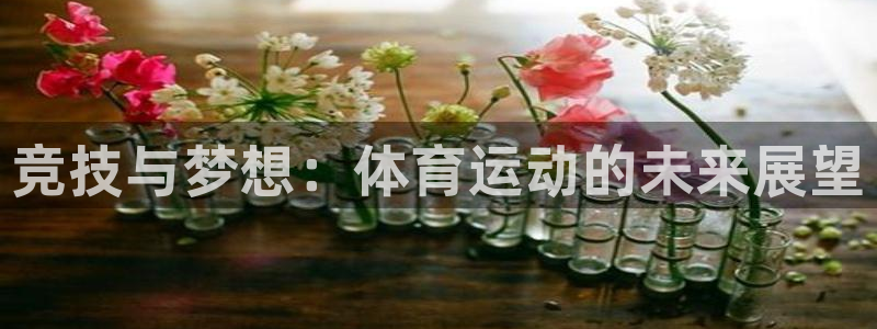 xc体育：竞技与梦想：体育运动的未来展望