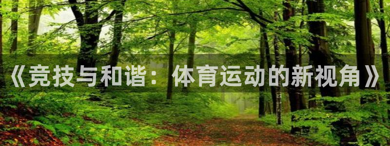 xc体育app官方网站：《竞技与和谐：体育运动的新视角》