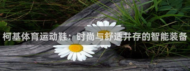 xc体育：柯基体育运动鞋：时尚与舒适并存的智能装备
