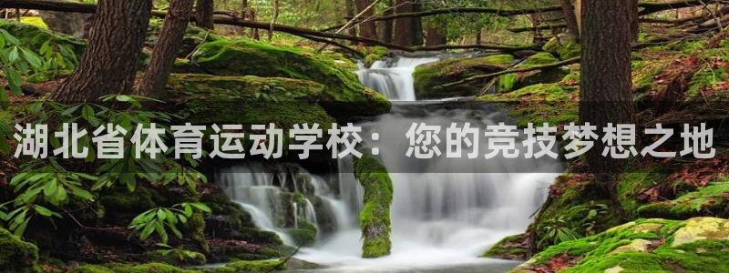 xc体育app官方网站：湖北省体育运动学校：您的竞技梦想之地